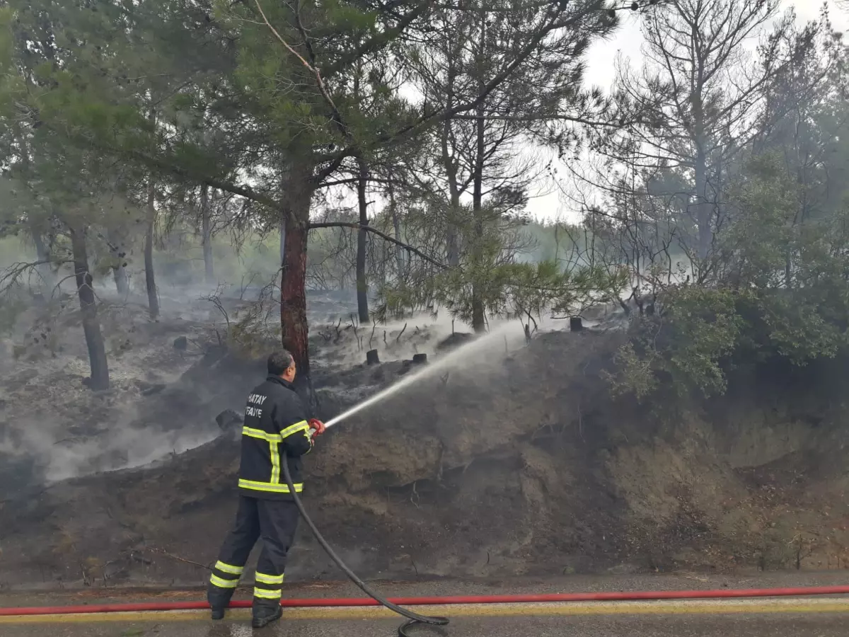 Hatay\'da çıkan orman yangını kontrol altına alındı