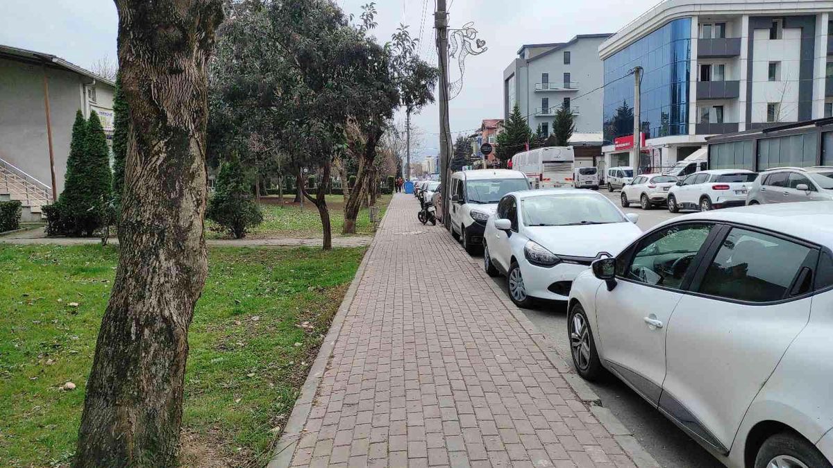 İzmit\'te köpeğe şiddet uygulayan 2 şahıs yakalandı