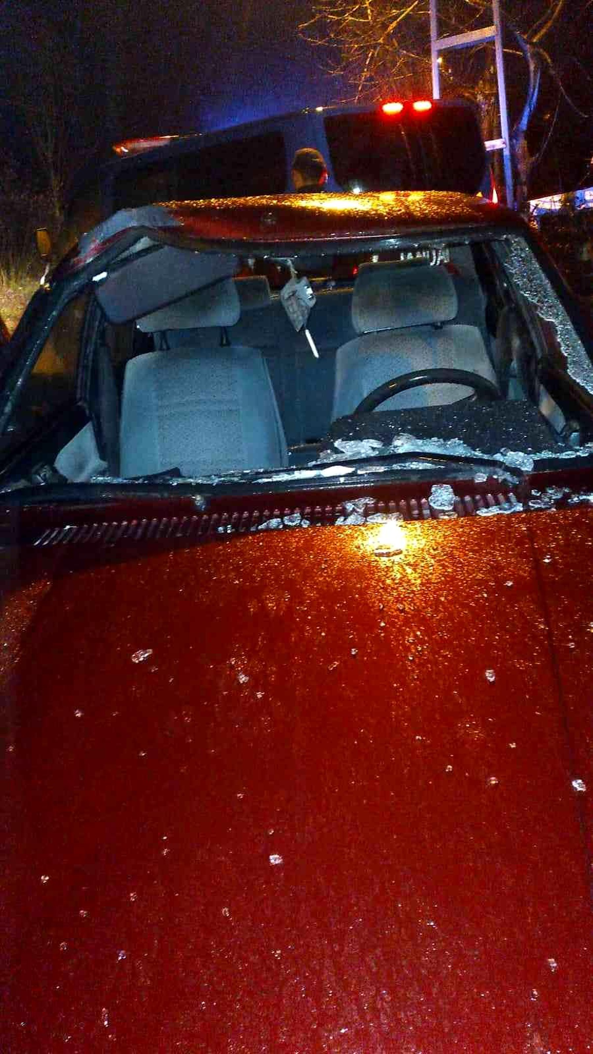 Karayoluna çıkan ineğe otomobil çarptı
