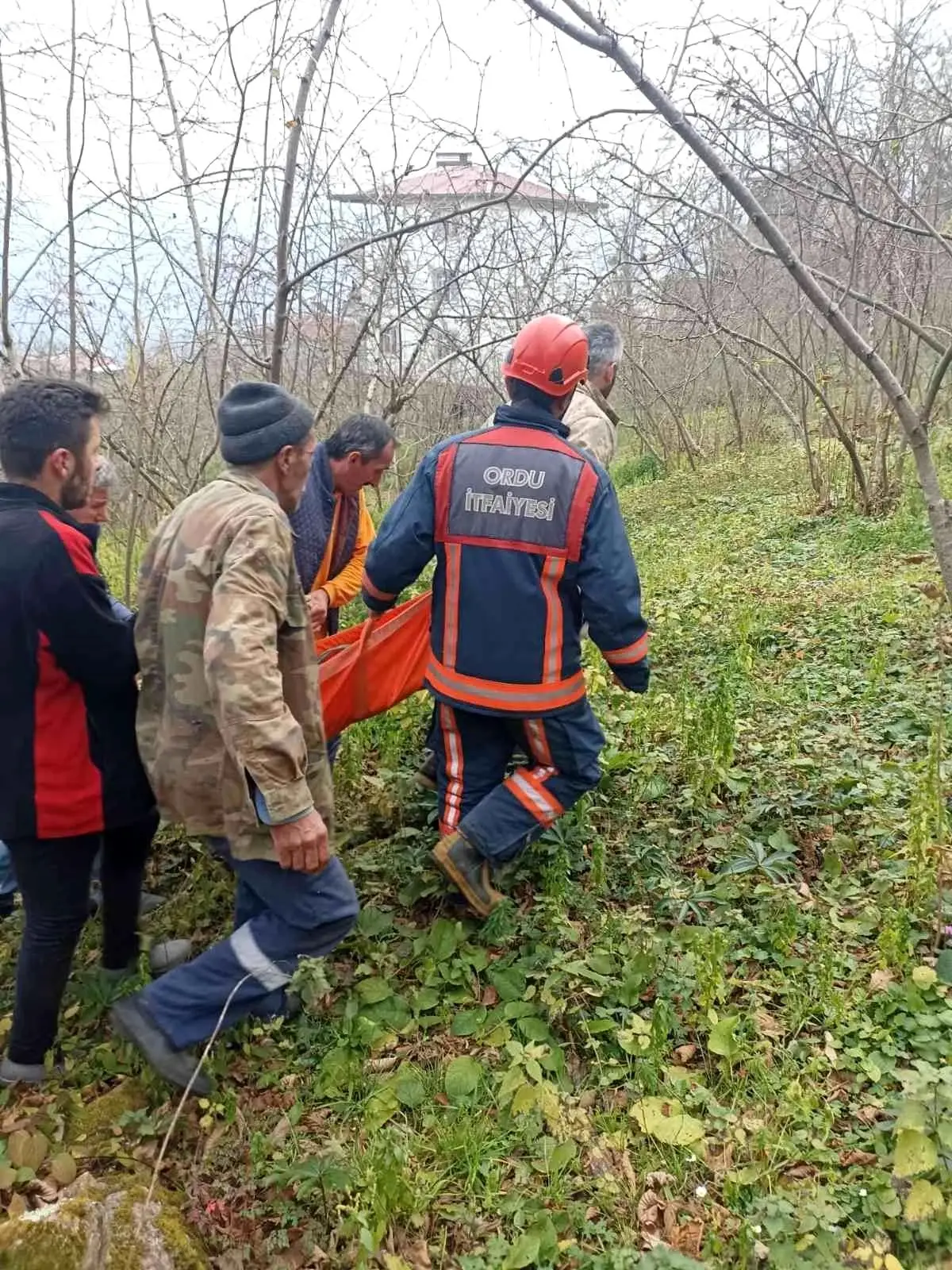 Kestikleri ağacın altında kaldılar