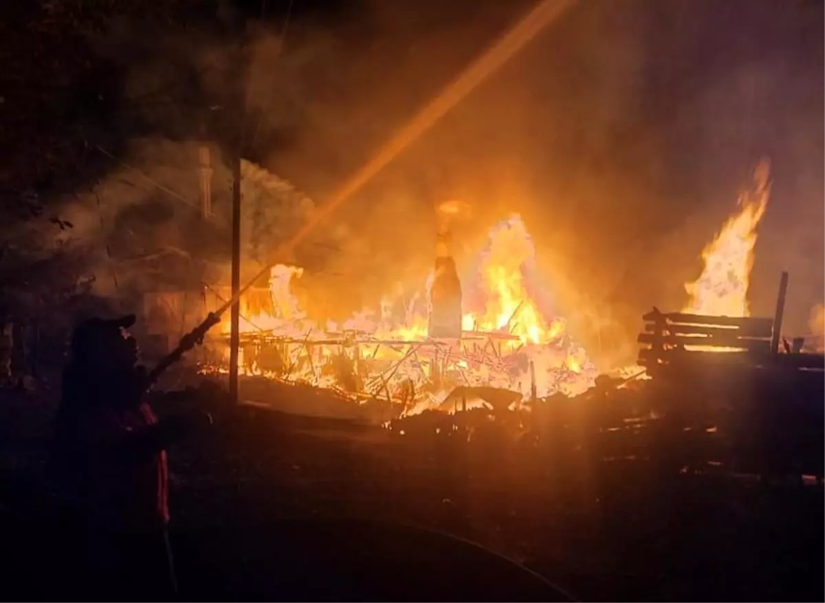 Çıkan yangında 4 ev ile odunluk ve ahır hasar gördü