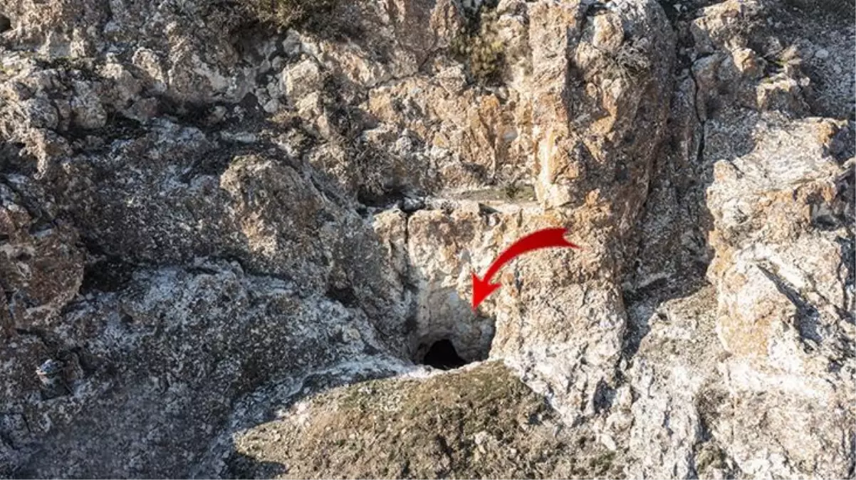 İçeri girenler gözlerine inanamadı, jandarma koruma altına aldı: Böylesini ilk defa gördük