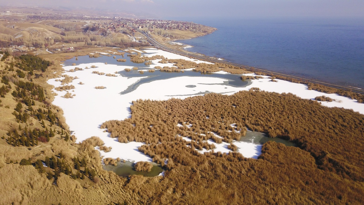 Ahlat\'ta onlarca kuş türünün barındığı göletin yüzeyi buzla kaplandı