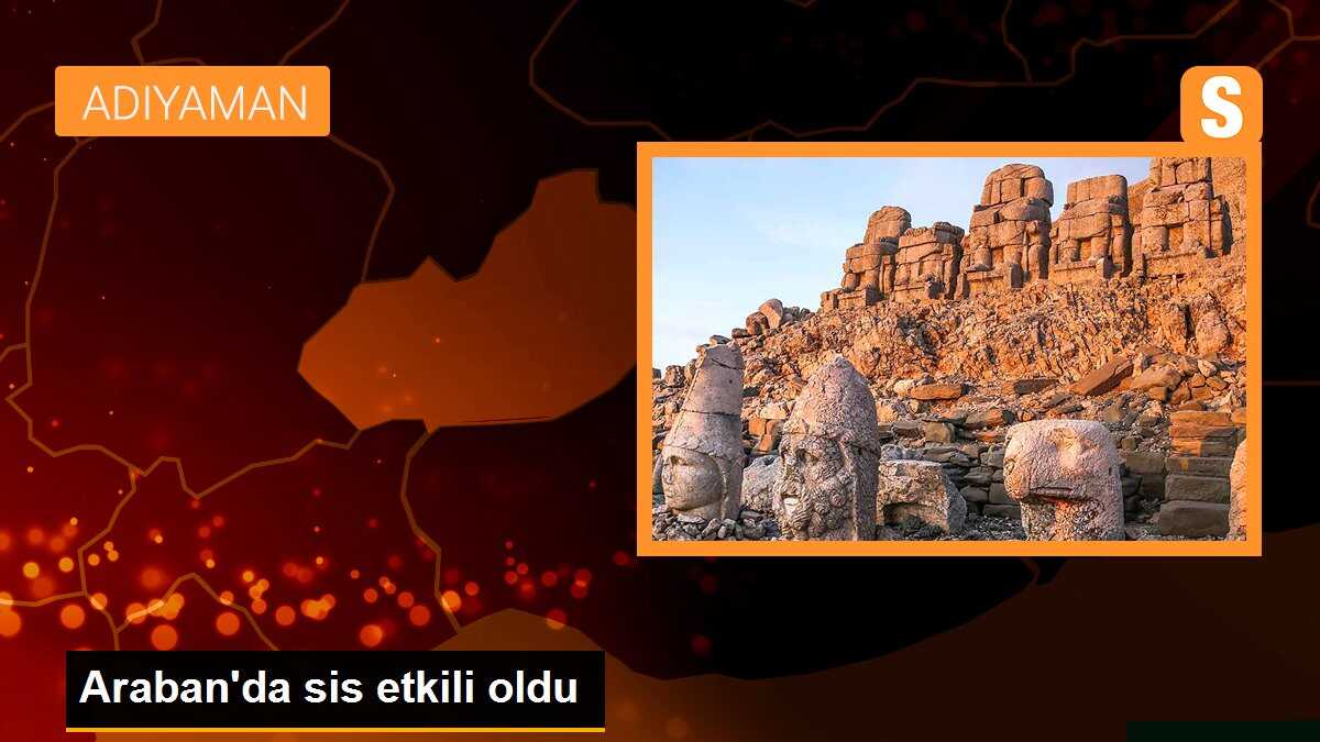 Araban\'da sis etkili oldu