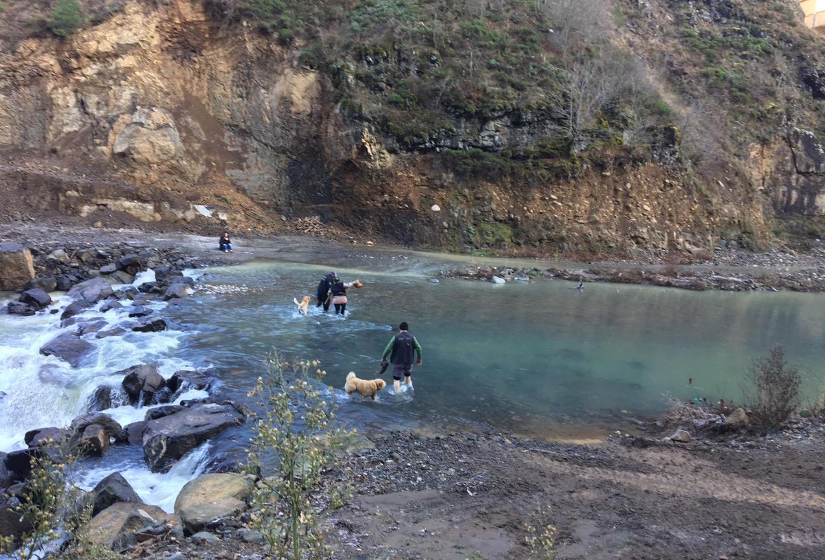 Artvin\'de av için ormana giden kişi ölü bulundu