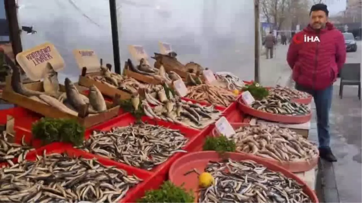 Balık fiyatları artınca vatandaşlar hamsiye rağbet gösterdi