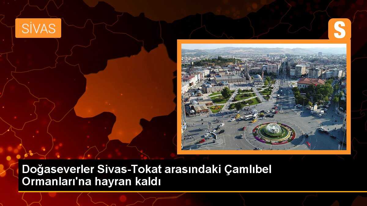Doğaseverler Sivas-Tokat arasındaki Çamlıbel Ormanları\'na hayran kaldı