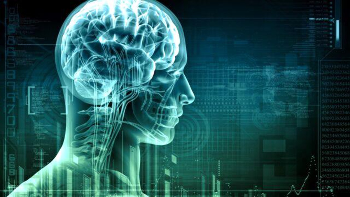 Dünyanın en kısa IQ testi! Üç soru ile zekanızı ölçün