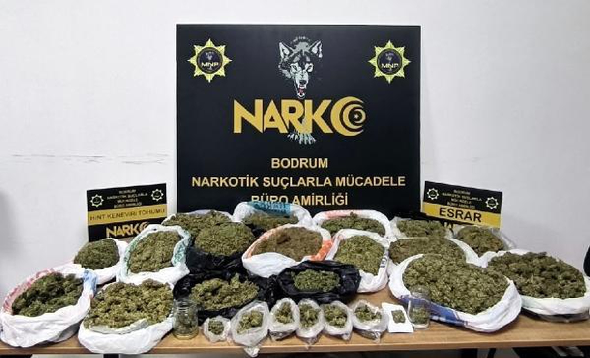 Evde 3 kilo esrarla yakalanıp tutuklandı