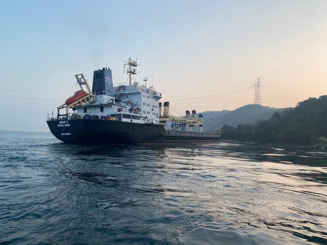 Son Dakika! Ukrayna'dan İstanbul'a gelen yük gemisi Boğaz'da karaya oturdu, deniz trafiği askıya alındı