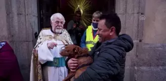 İspanya'da evcil hayvanlar kutsandı