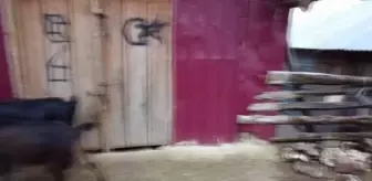 KAHRAMANMARAŞ - Karantinadaki iki mahalleye gıda yardımı yapıldı