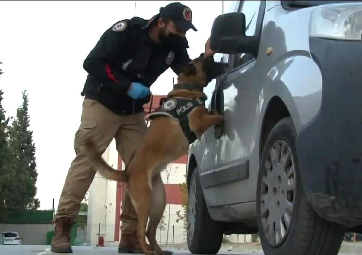 Manisa\'da bir haftada uyuşturucudan 99 gözaltı 6 tutuklama