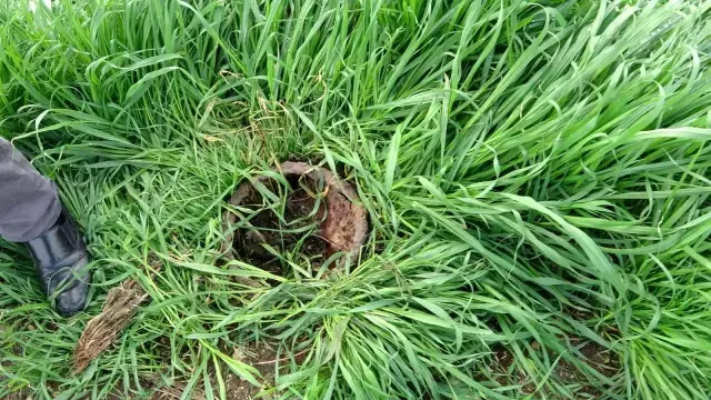 Amerikalıların 'Petrol yok' diyerek kapattığı iki kuyu yeniden açılacak