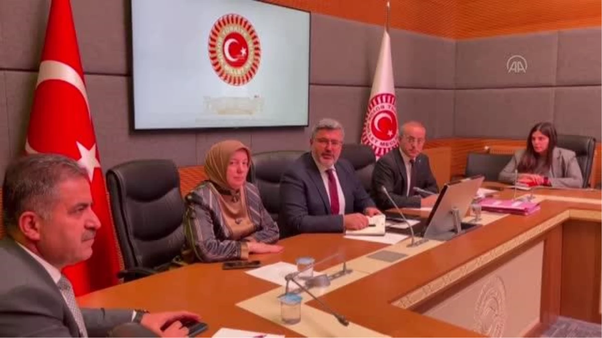 TBMM Hazırlık Komisyonu CHP\'li Başarır ve İYİ Partili Türkkan\'ın dokunulmazlığını görüşmek için toplandı