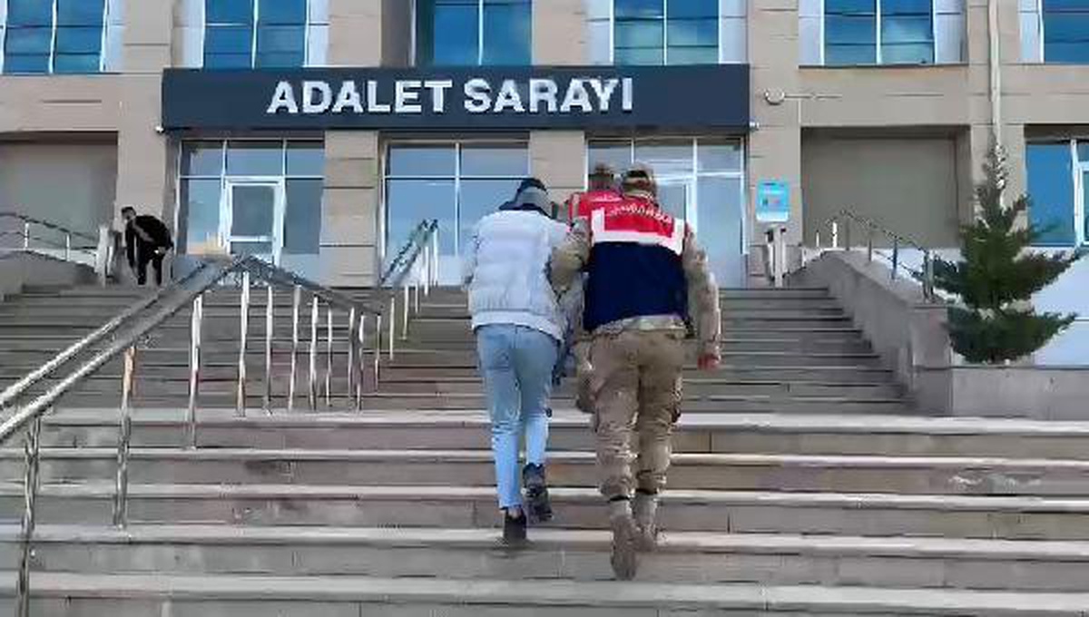 \'Arı Operasyonu\' düzenleyen jandarma 110 olayı aydınlattı: 8 tutuklama