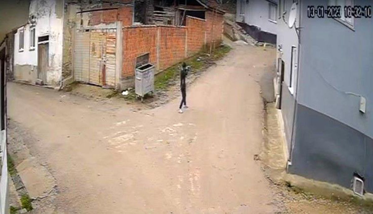 Bursa\'da vahşet: Av tüfeği ile köpeği öldürdü