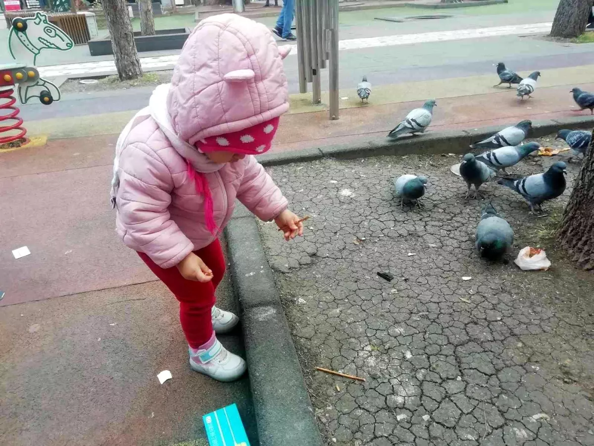 Elindeki krakeri güvercinlerle paylaştı