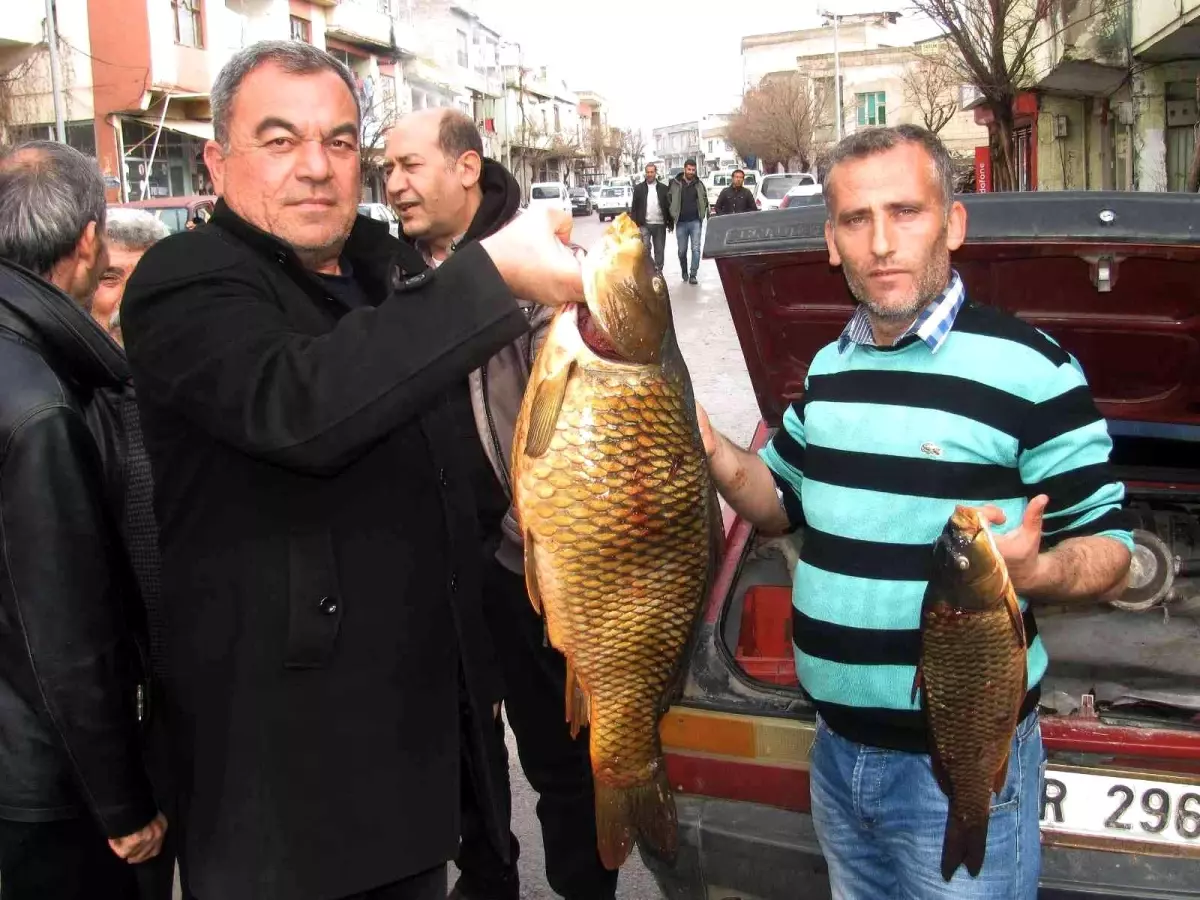 Kebap diyarında balık avlayarak geçimlerini sağlıyorlar