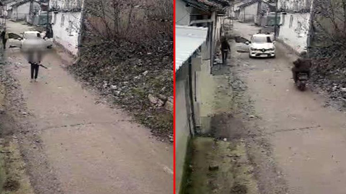 Bursa'da elindeki tüfekle köpeği öldüren şahıs yakalandı