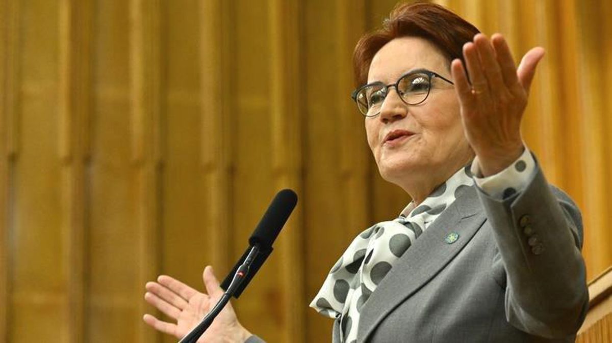 Meral Akşener'den Cumhurbaşkanı Erdoğan'ın 14 Mayıs'ta seçim çağrısına tek cümlelik yorum