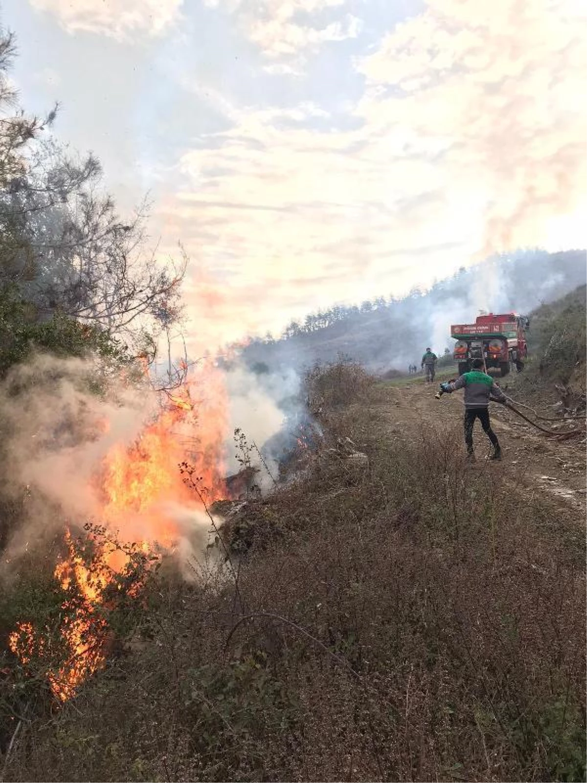 Ormanı 17 yerden yaktığı iddiasıyla gözaltına alındı