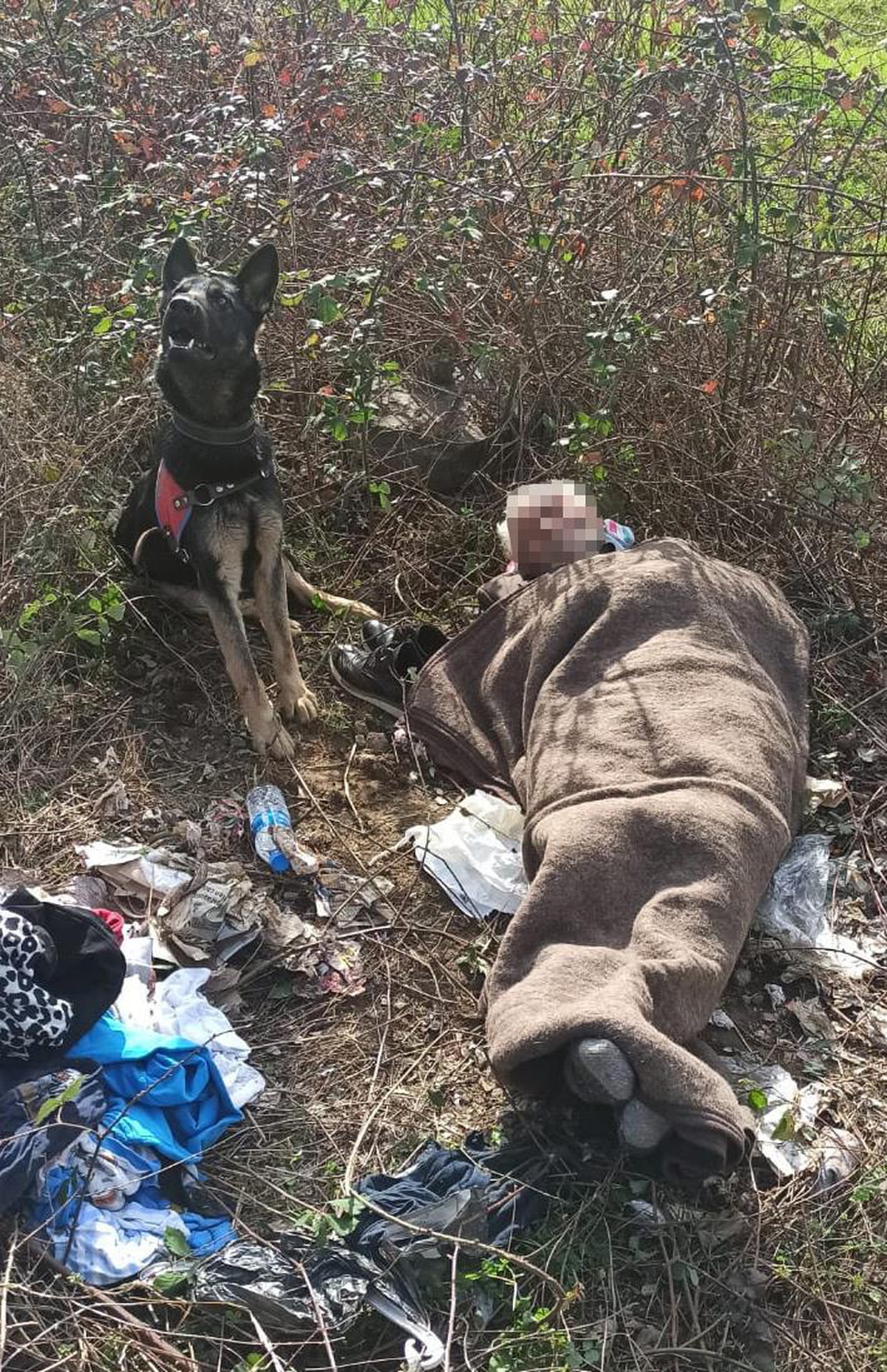 Samsun\'da kayıp kişi iz takip köpeğinin yardımıyla bulundu