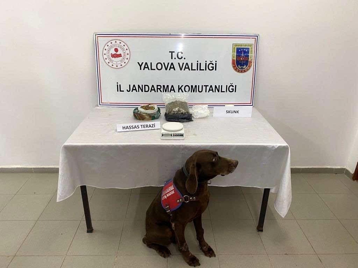 Yalova\'da uyuşturucu operasyonu: 1 gözaltı