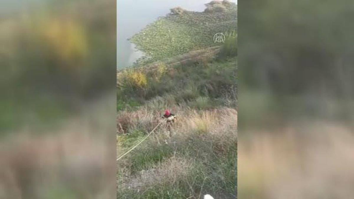 Nehir kenarında mahsur kalan kuzu itfaiye ekiplerince kurtarıldı