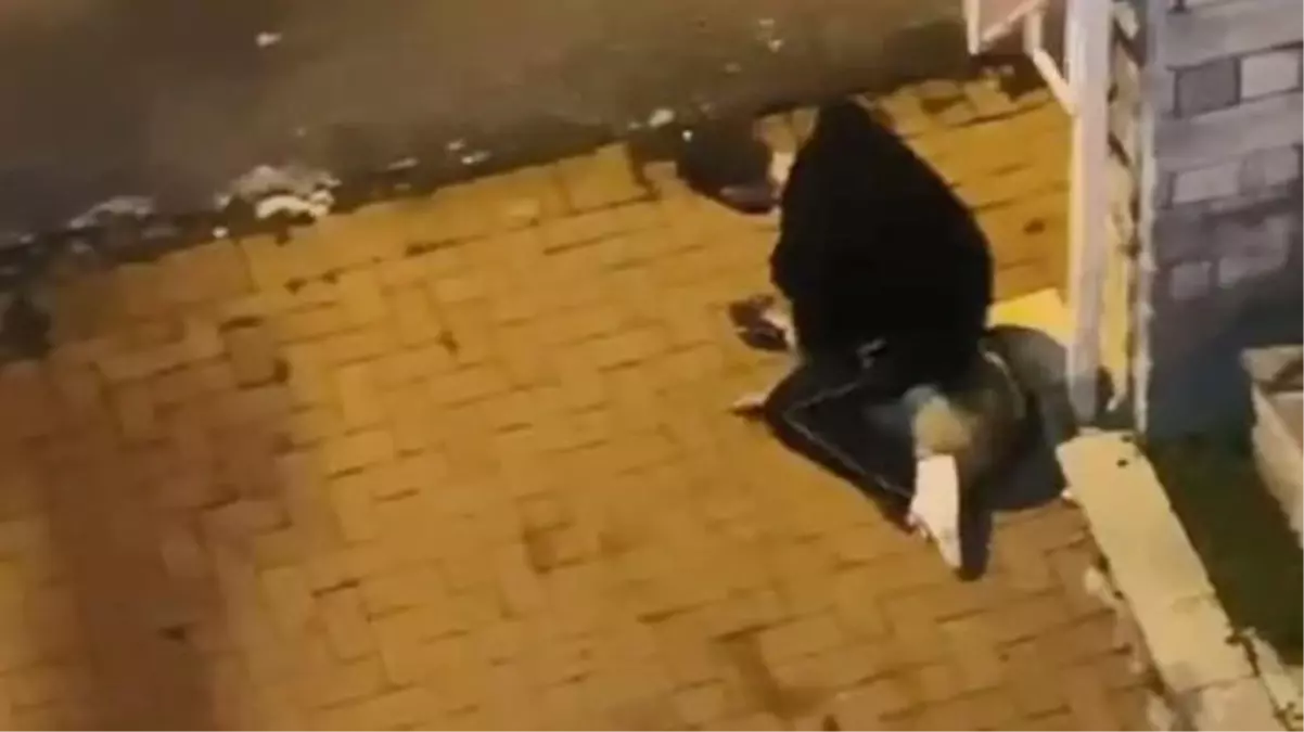 Köpeği boğarak öldürmeye çalışan caniye ilk duruşmada hapis cezası verildi