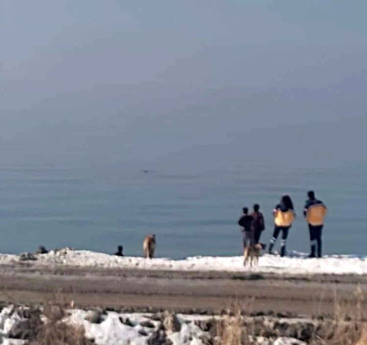 Van\'da ekipleri harekete geçiren ihbar