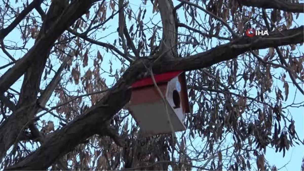 Yüksekova\'daki 20 noktaya kuş evi bırakıldı