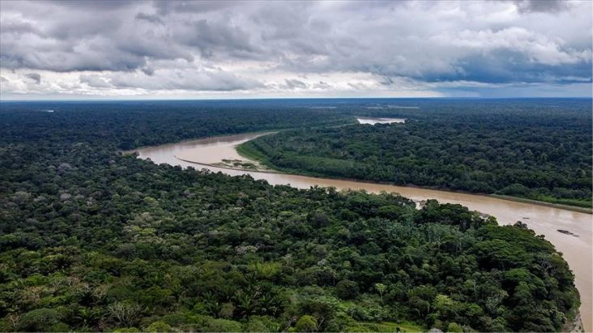 Amazon\'da 2022\'de günde 3 bin futbol sahası büyüklüğünde orman yok oldu