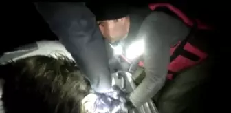 Batman'da nehre düşen keçilerin imdadına dalgıç ekipleri yetişti