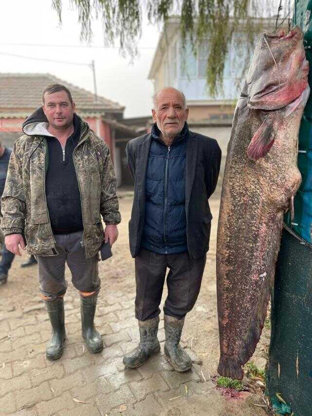 Edirne'de nehire ağ geren balıkçılar, yakaladıkları avı görünce gözlerine inanamadı! Tamı tamına 103 kilo