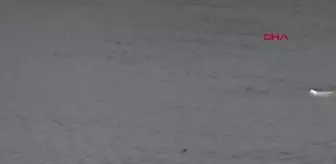 Edirne'de sağanak etkili oldu