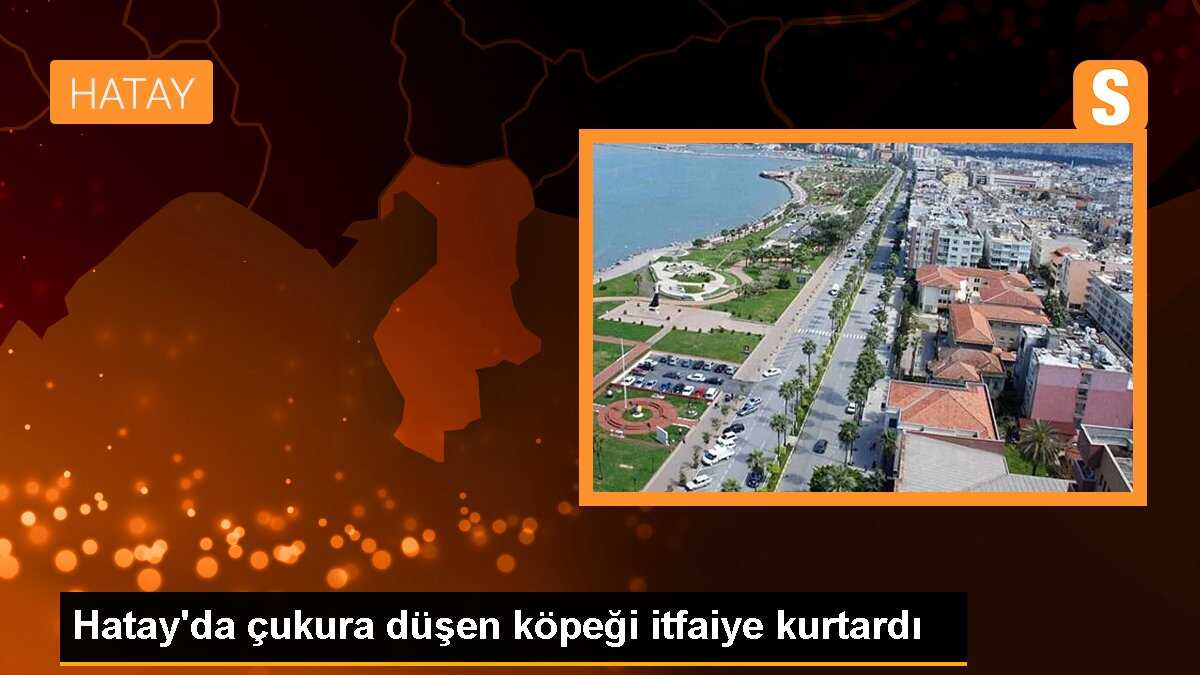 Hatay\'da çukura düşen köpeği itfaiye kurtardı
