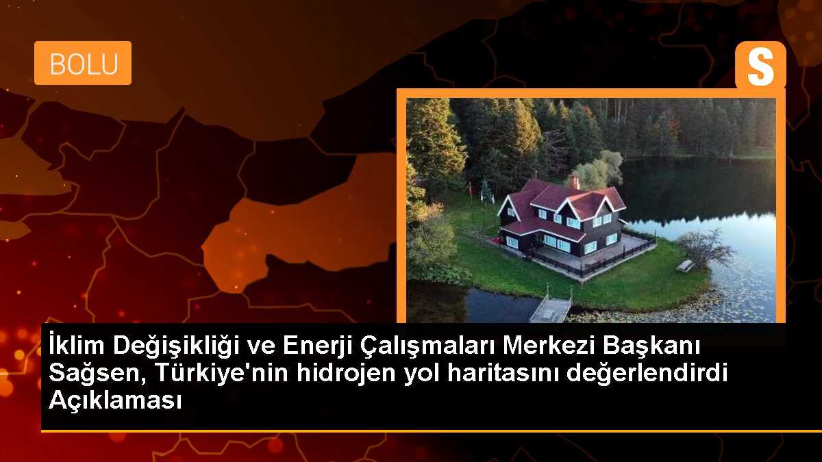 İklim Değişikliği ve Enerji Çalışmaları Merkezi Başkanı Sağsen, Türkiye\'nin hidrojen yol haritasını değerlendirdi Açıklaması