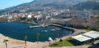 İzmit Körfezi'nde 'deniz kalemi' görüntülendi