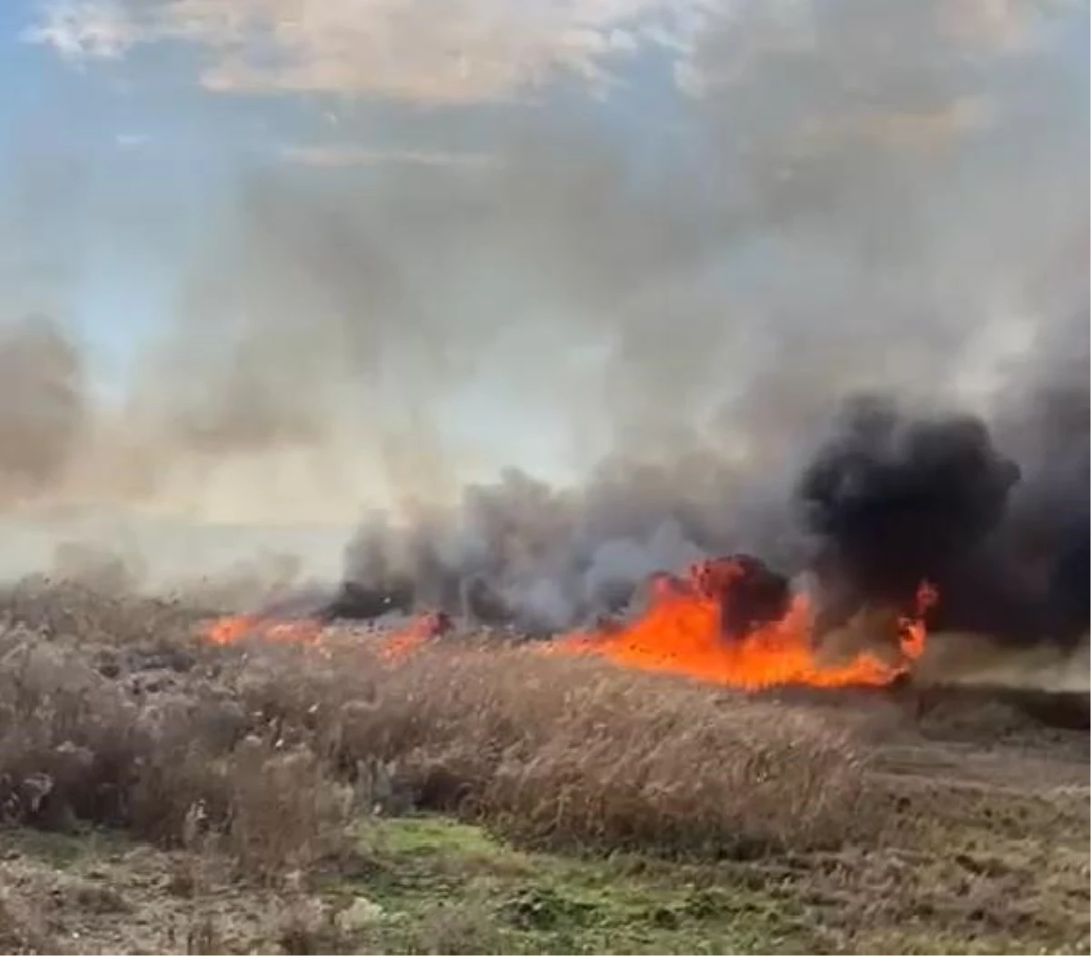 İznik Gölü kıyısında, sazlık yangınında 10 dönüm alan zarar gördü