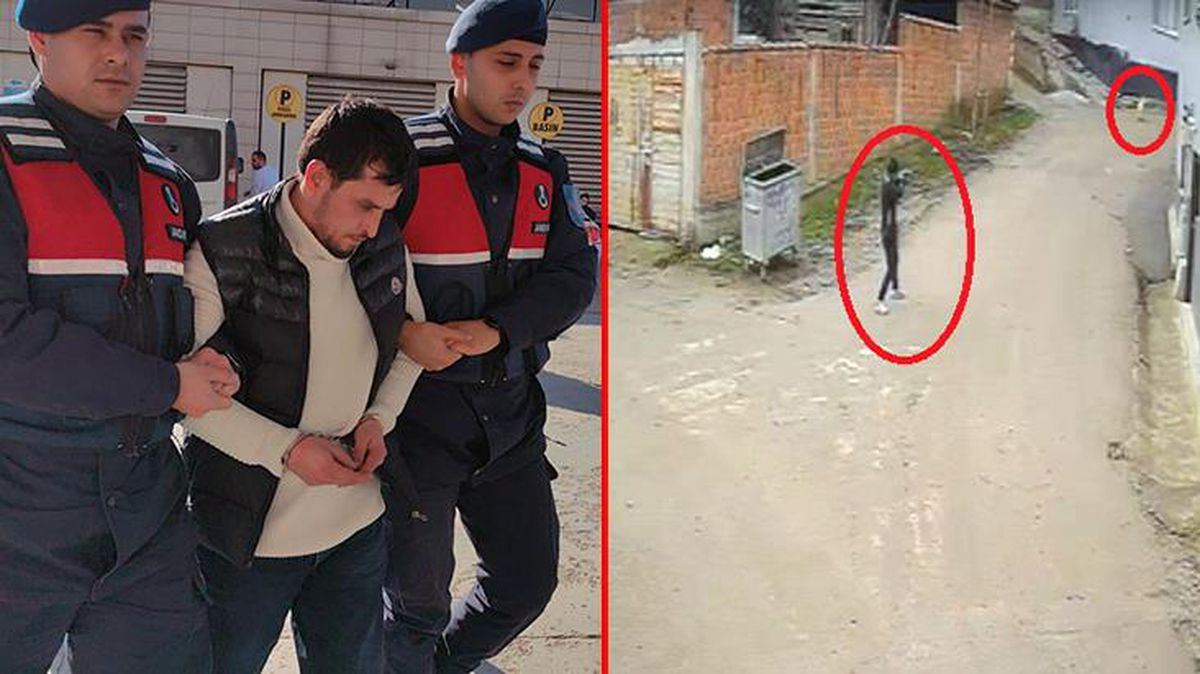 Bursa'da bir köpeği öldürüp diğerini de yaralayan adamın gerekçesi pes dedirtti