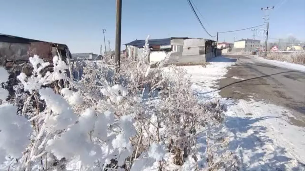 Soğuk hava hayatı olumsuz etkiliyor