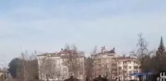 Sokak köpeklerinin kız öğrencinin etrafını sardığı anlar kamerada