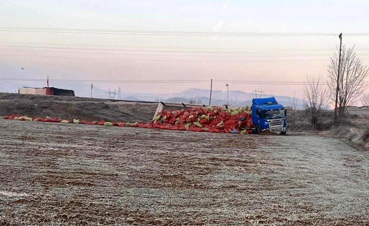 Yoldan çıkan tırın dorsesindeki soğan çuvalları tarlaya saçıldı: 1 yaralı