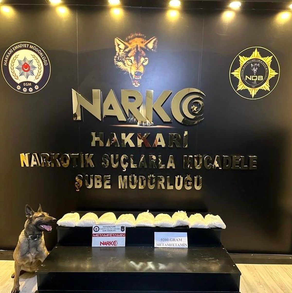 Hakkari\'de 9 kilo 200 gram sentetik uyuşturucu ele geçirildi