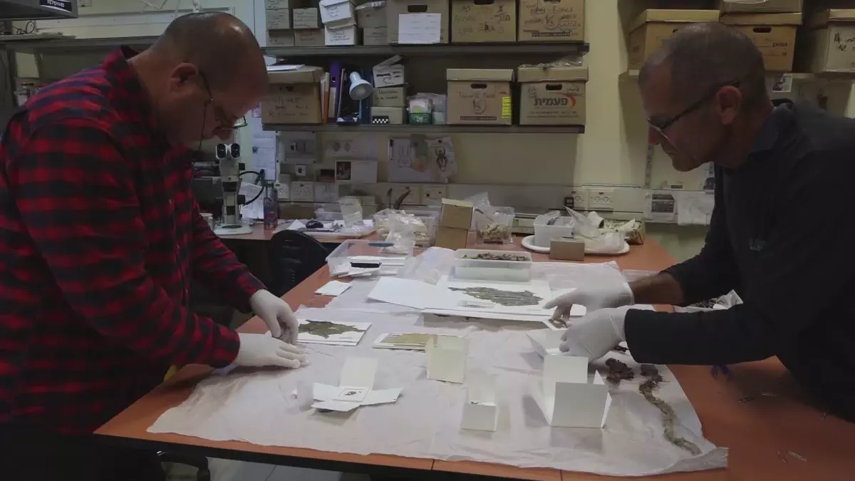 İsrail\'de Çin\'den Gelen 1.300 Yıllık Renkli İpek Kumaşlar Keşfedildi