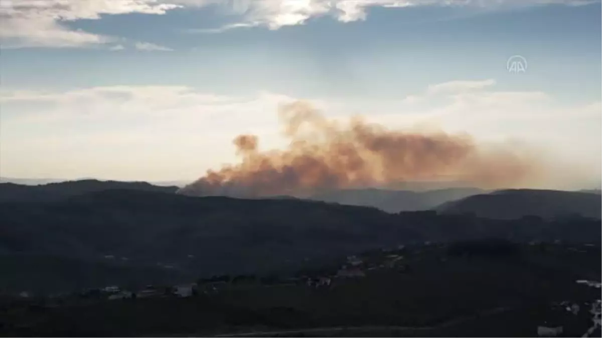 Ormanlık alanda çıkan yangın kontrol altına alındı