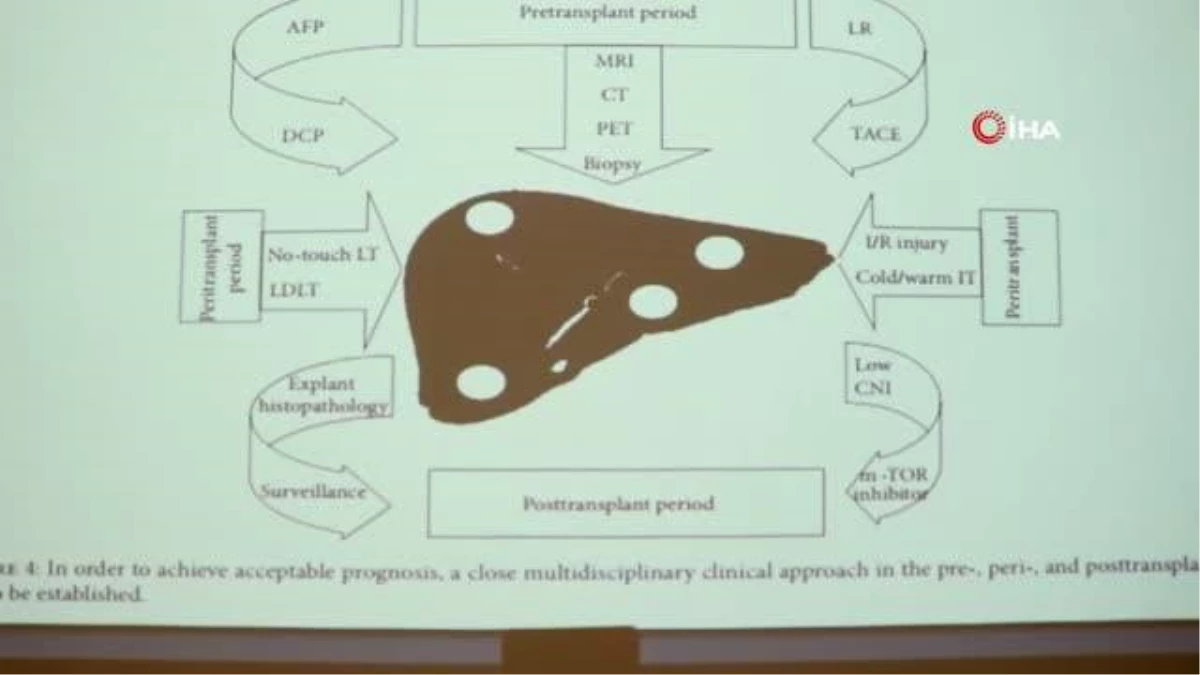 Sağlık Bakanlığı Karaciğer Nakli Bilim Kurulu Başkanı Prof. Dr. Polat: "Türkiye\'de 6 bin civarı organ nakli yapılıyor"