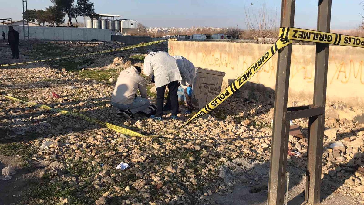 Şanlıurfa\'da korkunç olay