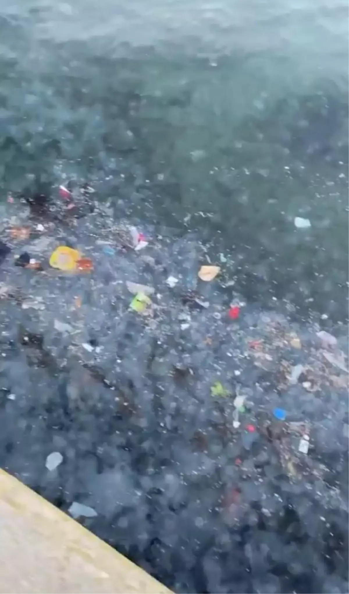 SARIYER SAHİLİ ÇÖP VE DENİZANASINA TESLİM OLDU